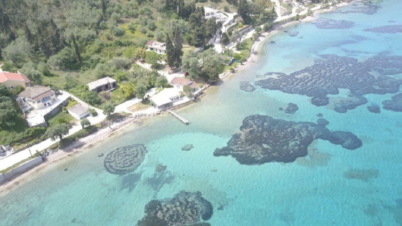 Вилла Blue Horizon Букари Экстерьер фото